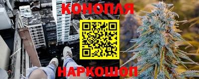 крисы Лесосибирск