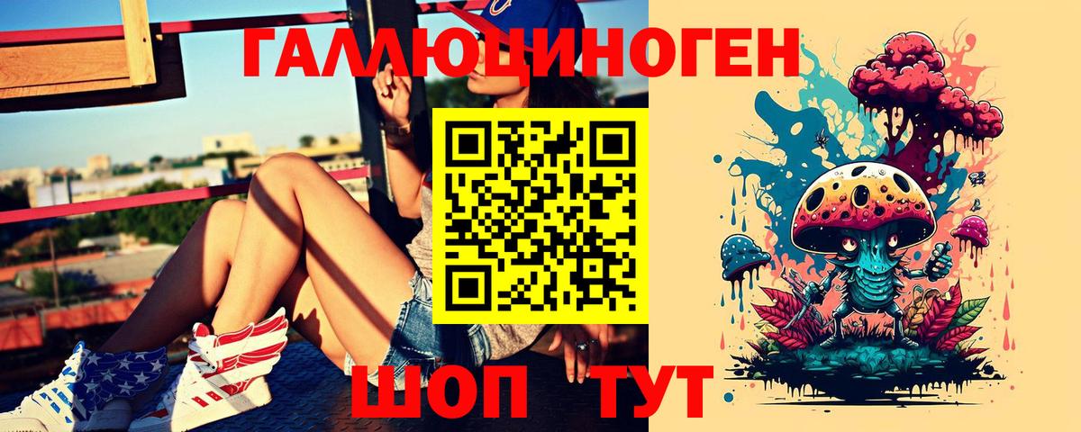 Фрязино  Псилоцибиновые грибы MAGIC MUSHROOMS  наркошоп  Вход с VPN 
