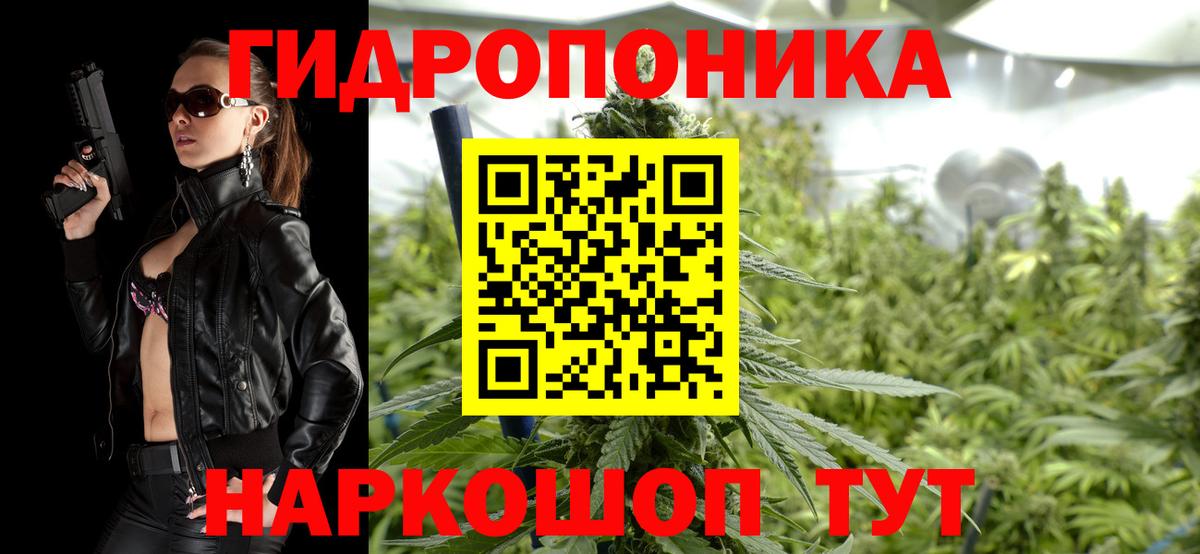 Шишки марихуана марихуана  Канабис конопля  Вход с VPN  Фрязино  Шишки марихуана ГИДРОПОН  Бошки Шишки планчик 